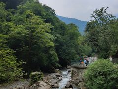 -西岭雪山大飞水景区