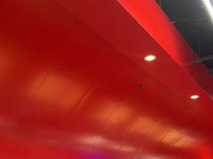 -不炭白烧烤(成都首店)