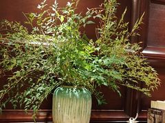 -洛阳宴·洛阳菜(南昌路店)
