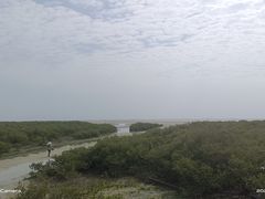 -北海金海湾红树林生态旅游区