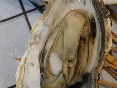 -狮龙啤酒烧烤屋(建二路店)