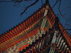 -荐福观音寺