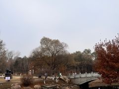 -长春世界雕塑园冰雪艺术天地