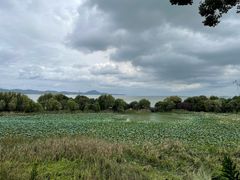 -上海市保健医疗中心