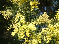 -厦门国家会计学院