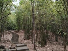 -富乐山