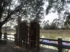 -大湾区中央湿地公园