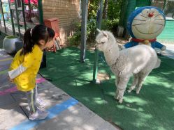 -萌宠亲子动物乐园(槐房万达店)