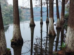 -重庆彩云湖湿地公园