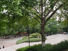 -龙头寺公园