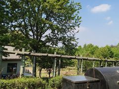 -龙寺生态园