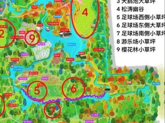 -上海共青森林公园