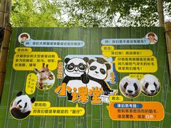 -灵玲国际马戏城