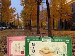 -宏发园动物奶油生日蛋糕(先锋路店)