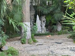 -苏皖边区政府旧址纪念馆