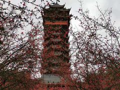 -塔子山公园