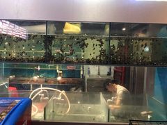 水产区-龙浔虾欢(祥岭路店)