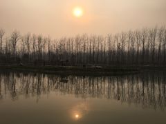 -合肥滨湖国家森林公园