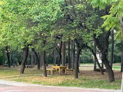 -吉林大学(前卫南区)