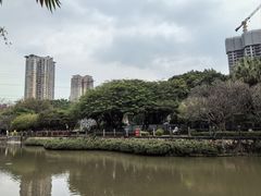 -晓港公园