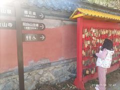 -阳台山自然风景区