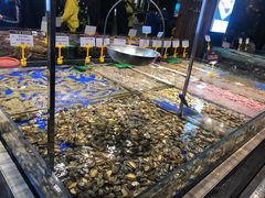 -船歌·鱼水饺青岛菜(闽江二路店)