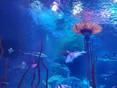 -沈阳海洋探索中心