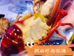 明火依云白灼活虾-钳小柒·小龙虾蓝龙王烧烤夜宵(长寿路店)
