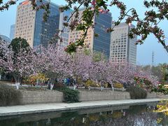 -海棠花溪(元大都城垣遗址公园)