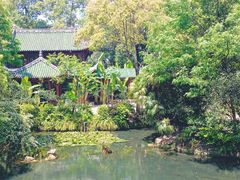 -棠湖公园