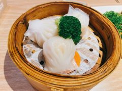 招牌虾饺皇-南枝记