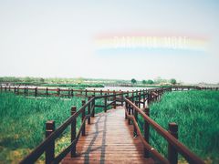 -西青郊野公园