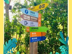 -前小桔亲子创意农场·草莓采摘·露营烧烤