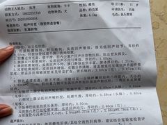-派美特宠物医院·核磁CT·骨科肿瘤·疑难转诊(沈农禾丰店)