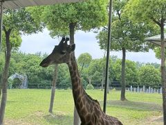 -常州淹城野生动物世界