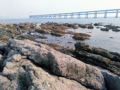 -黑石礁公园
