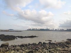 -野狸岛