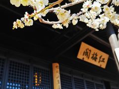 -红梅公园