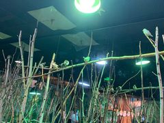 -萌宠奇缘