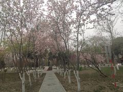 -山东大学(洪家楼校区)