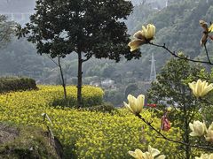 -天姥山