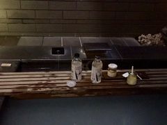 -台北北投丽禧温泉酒店