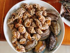 -15年老字号鑫鑫猪肚鸡·椰子鸡海南火锅(兴隆华侨农场店)