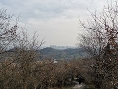 -镇江市南山风景名胜区竹林景区