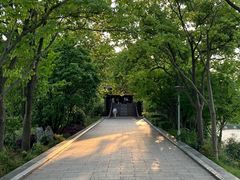 -长广溪湿地公园