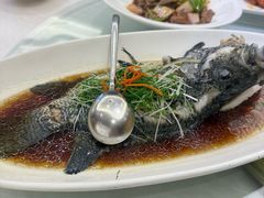 -骏莱海鲜鱼港(五角场店)