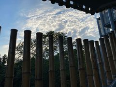 -美的鹭湖探索王国