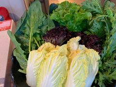 -渡娘火锅(大兴大悦春风里店)