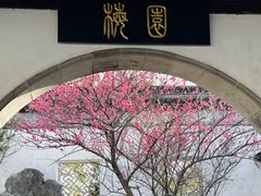 -八大山人梅湖景区