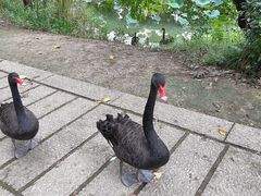 -长兴太湖图影湿地文化园